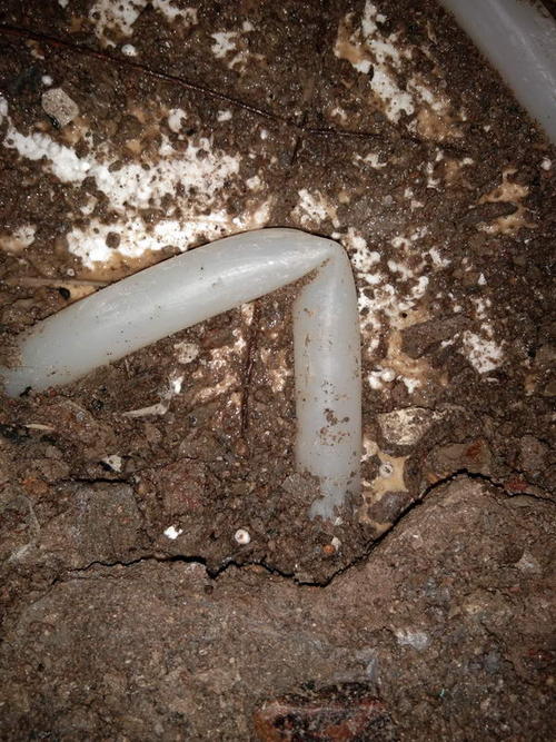 贞丰堵点精准查找